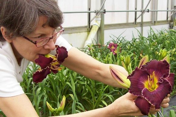 Karol Emmerich recipient of the 2025 Steve Moldovan Mentoring Award.